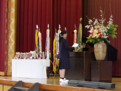 IMGP0558
