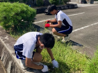 相原庭園