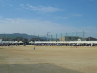 DSC02484